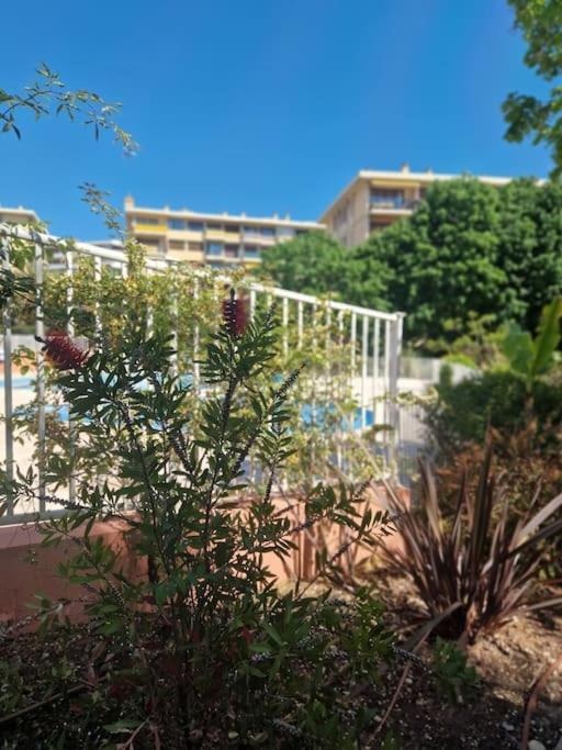 Appartement Vue Mer Sur Les Hauteurs De นีซ ภายนอก รูปภาพ